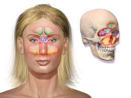 Sinus Headache:7 Powerful Facts You Need to Know About